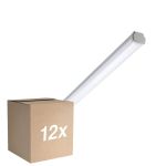Multipack 12x Philips LED Feuchtraumleuchte WT060C 28W 3400lm - 840 Kaltweiß | 150cm