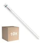 Multipack 10x Philips Master LED Röhre T8 (EM/Mains) High Output T8 7.6W 1150lm - 840 Kaltweiß | 60cm - Ersatz Für 18W